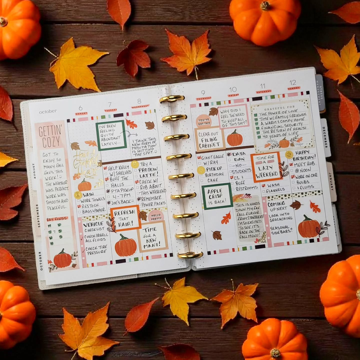What's your favorite fall activity? 🍂
.
#afterthepen #plannerspread #weeklyspread #plannercommunity #planwithme #plannerlove #ilovemyhappyplanner #happyplanning #thehappyplanner #iamahappyplanner #planneraddict #stickeraddict #plannerobsessed #plannerlife #planahappylife #planyourweek #plannernerds #plannerstickers #happyplannerinspiration #checklistlayout