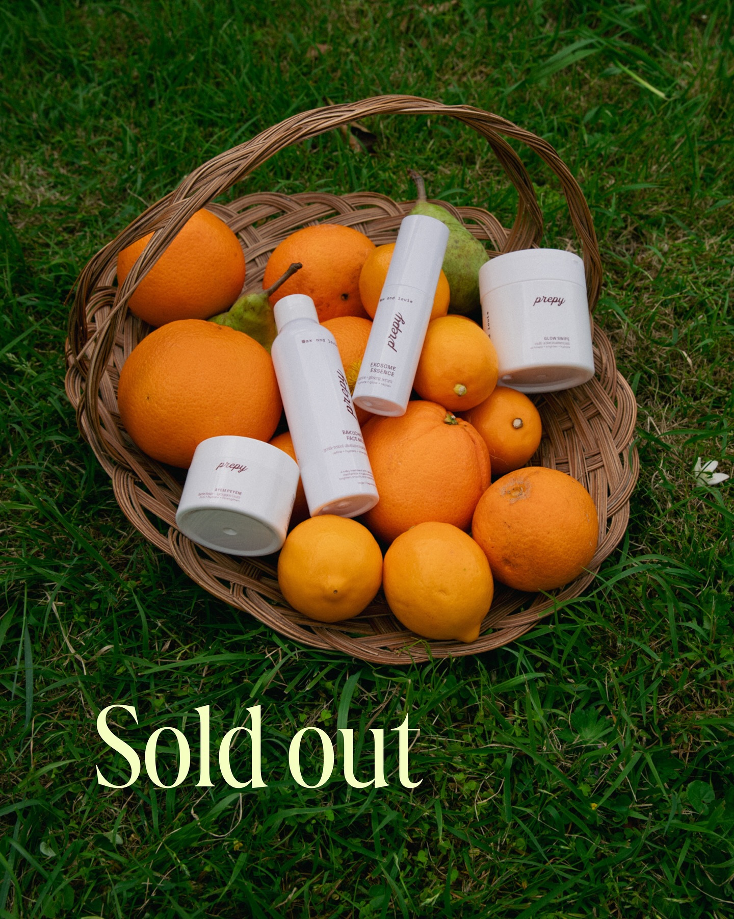 Wow. Sold out in just three and half weeks. Thank you thank you thank you!!!
For those wanting first in on the next release, would you like to preorder? Let us know in the comments please! x