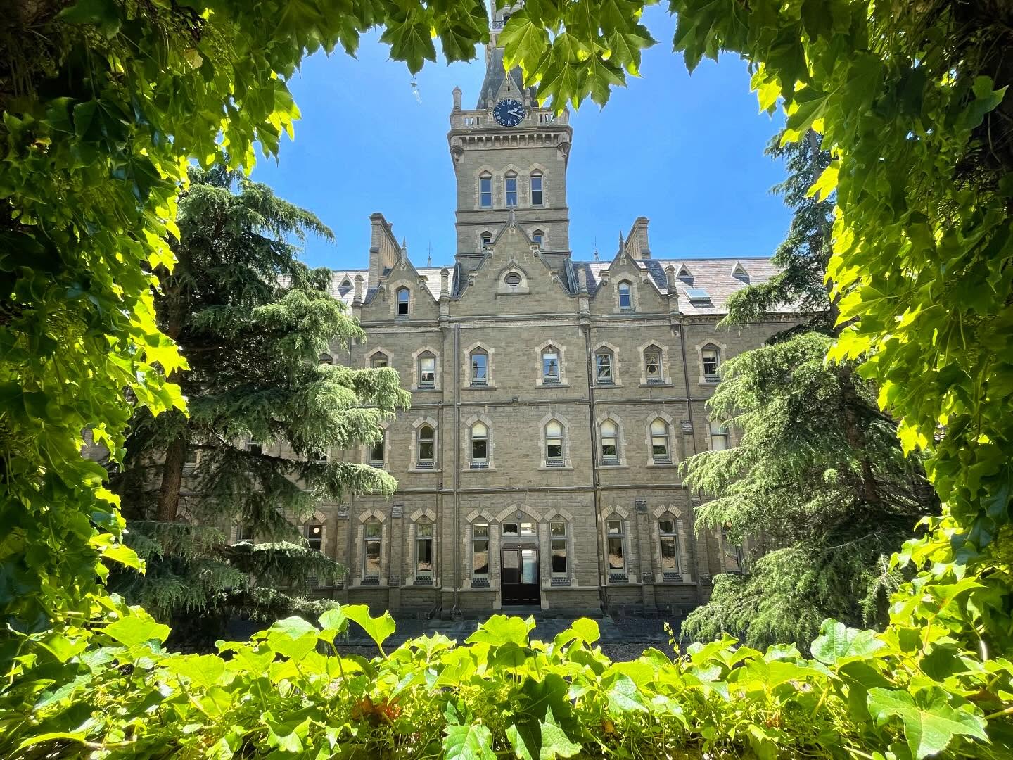 We’re excited to invite dancers to our 2026 Summer Dance Intensive! ☀️
Email summerdanceintensive@yahoo.com for more information & to secure your place!
#cecchettiballetaustralia #cecchettisummerschool #cecchettiballet