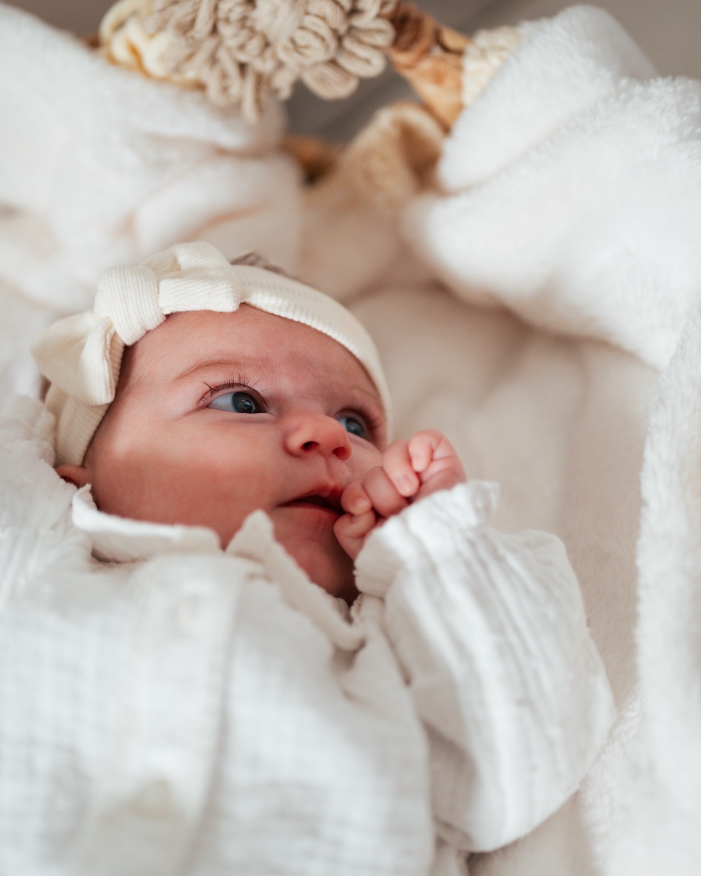 Emma et Elena ✨
Sœurs, un lien éternel et infaillible 🫶🏻
Ce shooting naissance était rempli d’amour, de rires et de complicité 🥰
Merci pour ce beau moment et de me laisser partager ces clichés !
.
.
.
#shootingnaissance
#shootingnaissancetoulouse
#naissancetoulouse
#shootingnouveauné