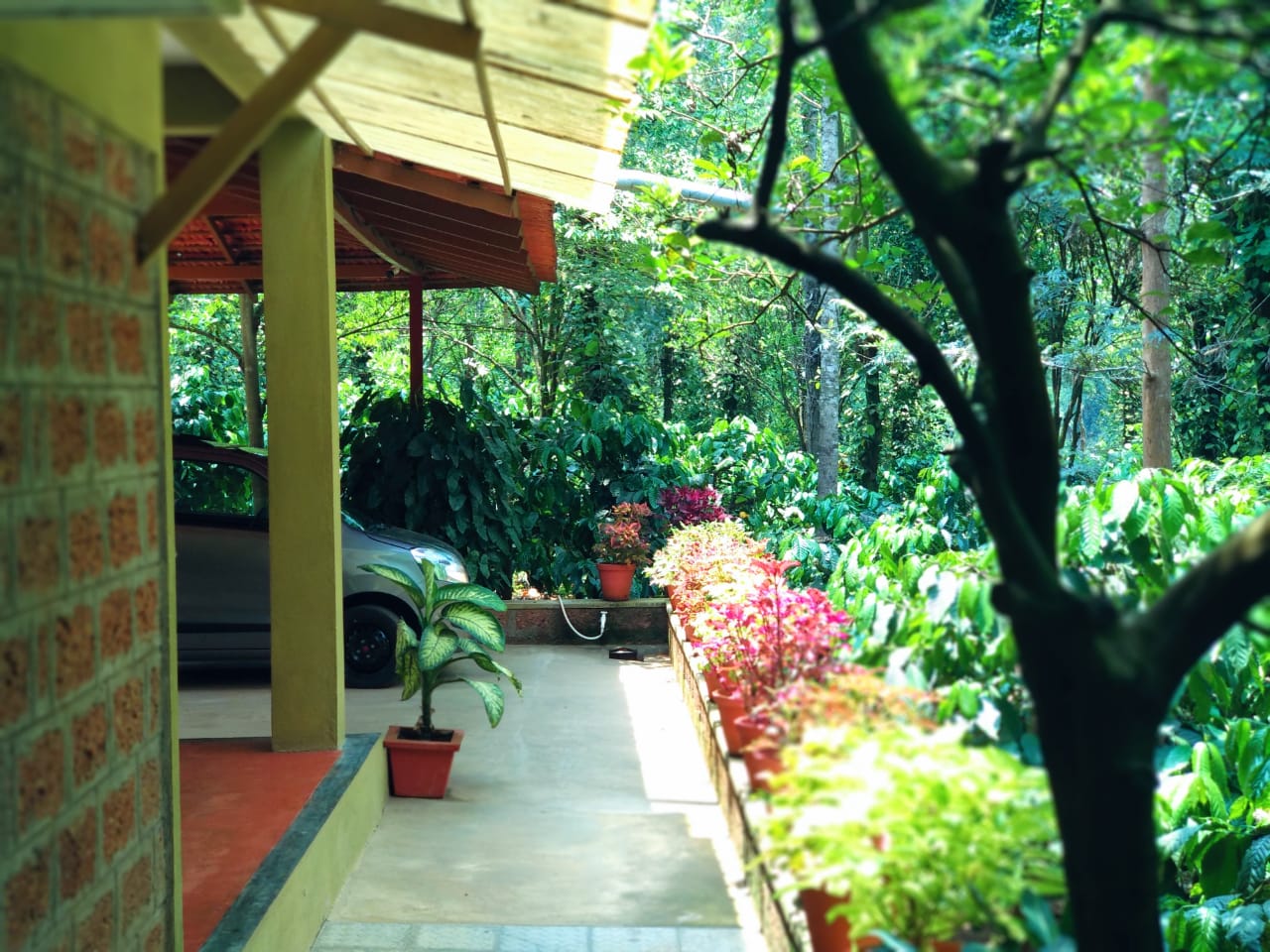 Wake up to misty hills, sip hot filter coffee, and explore private nature trails at Heights Farm Stay — your cozy retreat near Madikeri. Family-friendly rooms, complimentary breakfast, and guided safaris make every stay unforgettable. Link in bio to book your escape. 🌿🏡✨
Which spot are you most excited to visit: Dubare Elephant Camp or Golden Temple, Bylakuppe? Tell us below!
#CoorgGetaway #Madikeri #HeightsFarmStay #CoorgDiaries #KarnatakaTravel #NatureRetreat #FamilyEscape #CoffeeCountry