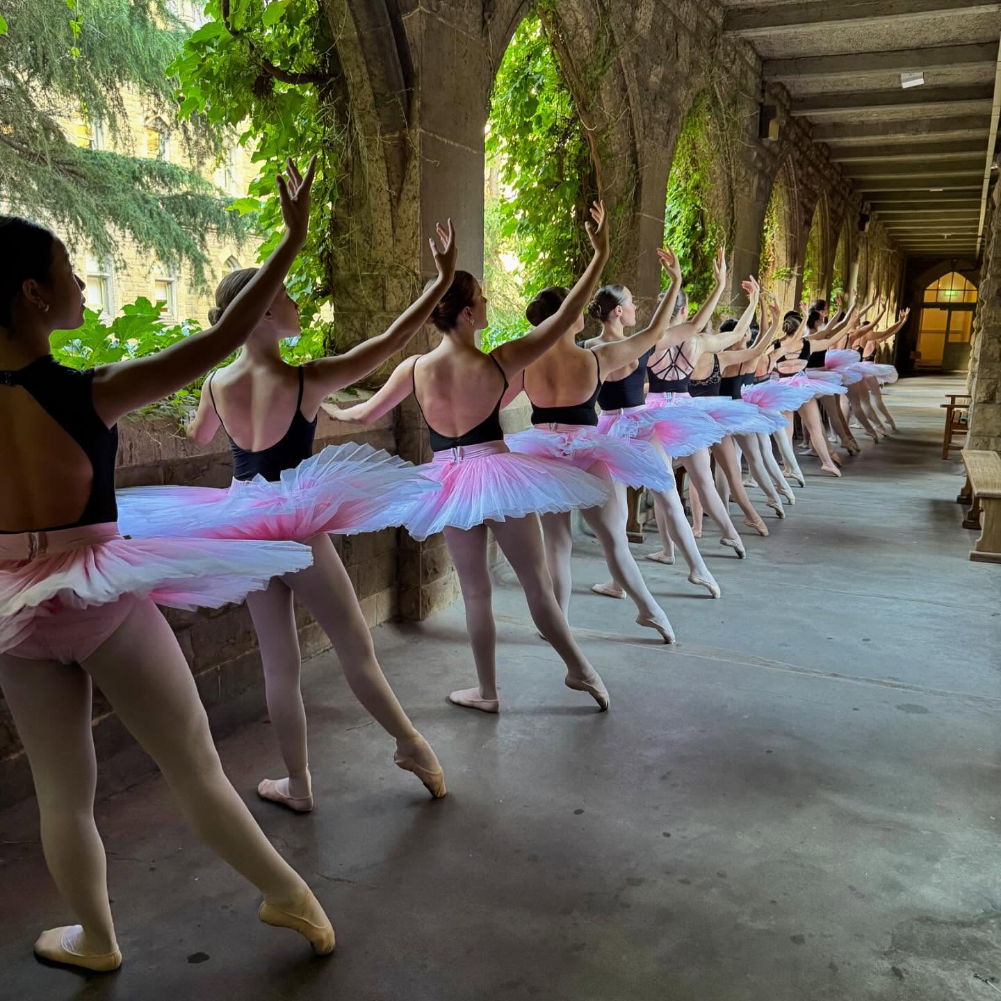 2026 Summer Dance Intensive ☀️
11th-17th January
Experience a week of full-time dance, staying at Melbourne University’s beautiful Ormond College.
Email summerdanceintensive@yahoo.com for more information & to secure your place!
#cecchettiballetaustralia #cecchettisummerschool #cecchettiballet