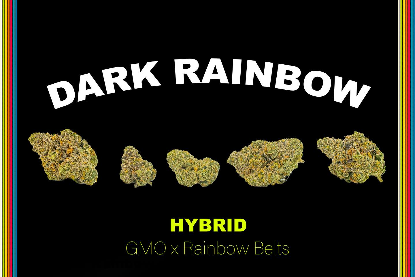 A soothing Indica that melts away anxiety and lifts your mood. Expect euphoric relaxation, a touch of hunger, and bold notes or earthy, pepper, and tropical fruit.
🌠🌎😍
Feelings: Euphoric, Relaxed, Hungry
Aroma: Pepper and Tropical
GMO x Rainbow Belts
