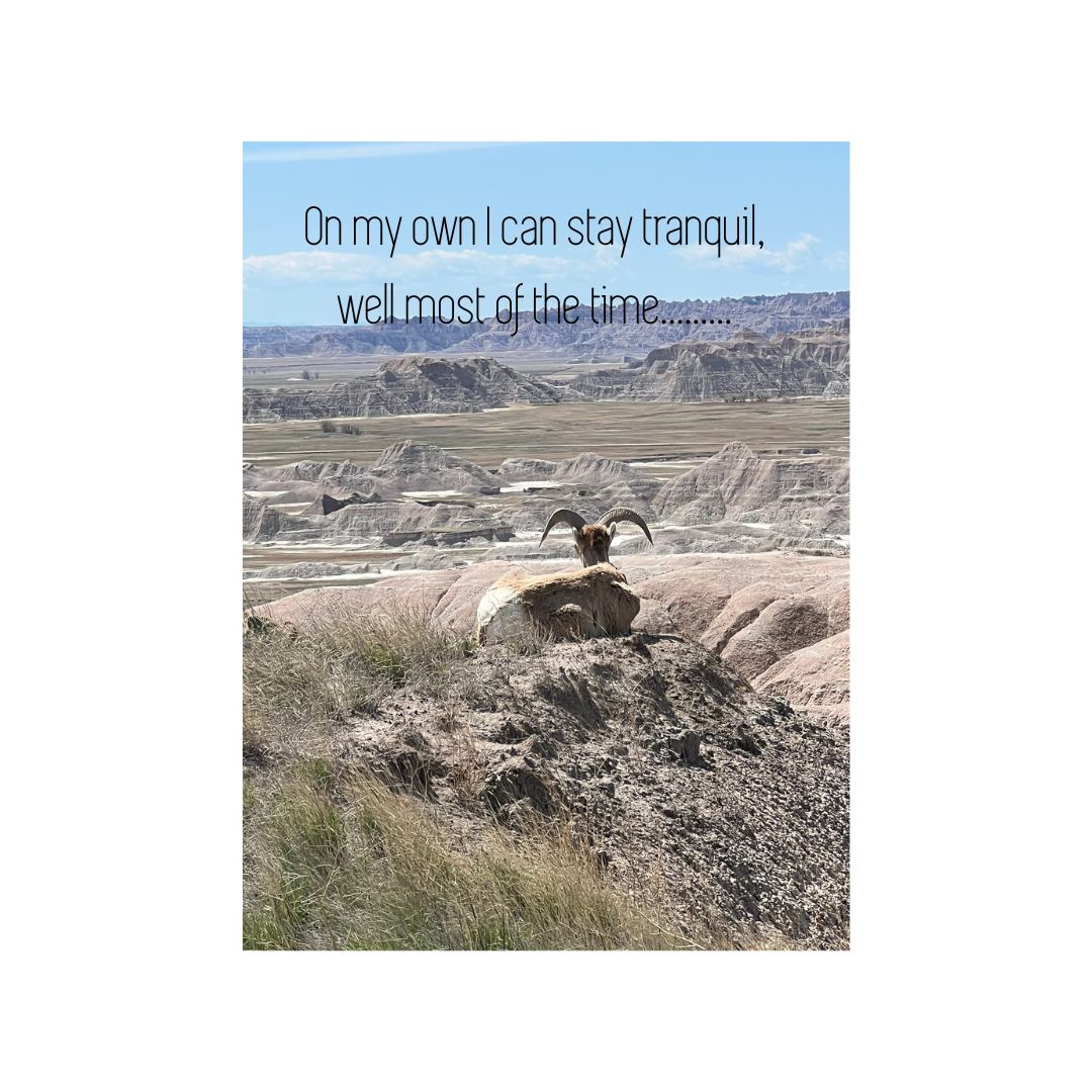 Leading up to Thanksgiving, you may feel like you need support, that's a really great thing. Reach out to www.rrmentors.com
#rrmentors #Relationships #lesbians #feelinglonely #beingmeinrelationships