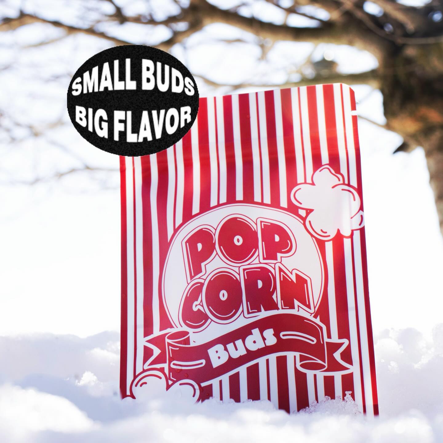 Real ones know the best popcorn doesn’t come from a microwave
#popcornbuds #flavorpacked #onthego