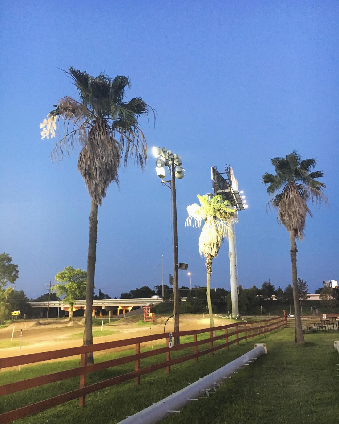 We are NOT racing this weekend - our apologies for any confusion or inconvenience. Moto Games was cancelled a while ago and our website race calendar was not updated to reflect the change.
Our next race is December 28th and it is an AMA Pro AMA and details will be made available ASAP.
Wednesday, December 3rd our hours are 10:00 am to 9:00 pm weather permitting!
Picture is of the original THREE PALM TREES that eventually succumbed to storms one by one over the years…