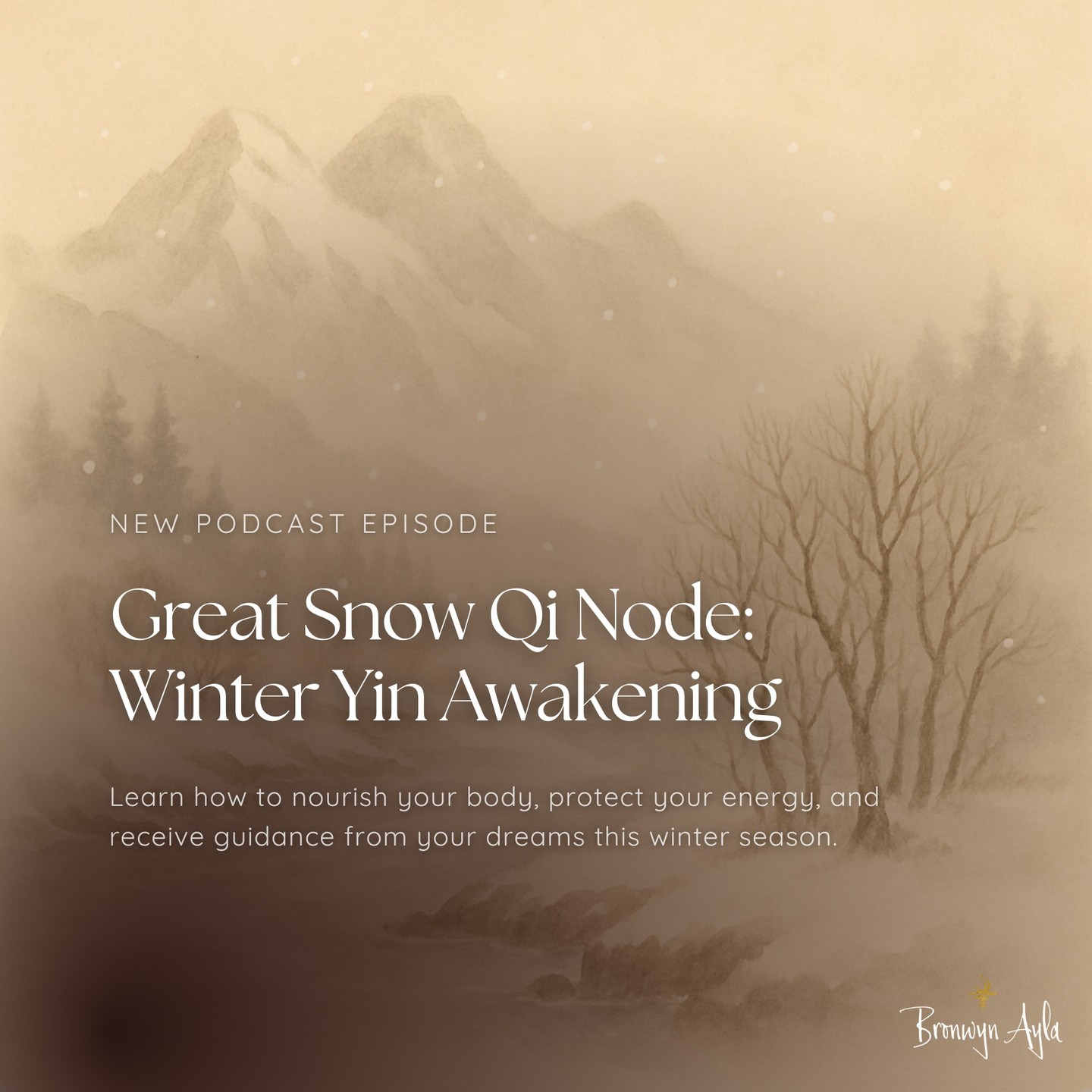 🌨️ Great Snow Qi Node: Winter Yin Awakening ❄️
A sacred seasonal shift is here. In the latest podcast, we explore the ancient Daoist cycle of Great Snow — where yin is abundant, and dreams become gateways to healing.
✨ Discover:
• Winter rituals to restore qi + nourish blood
• Why dreaming is a form of ancestral listening
• Foods + rest to protect your inner ember
This is the time to slow down, dream deeply, and return to what truly matters.
🎧 Listen via link in bio
#AlchemyWithBronwyn #WinterYinAwakening #GreatSnowQiNode #TongShu #Reiki #SeasonalLiving #AncestralHealing #YinWisdom #InclusiveWellness