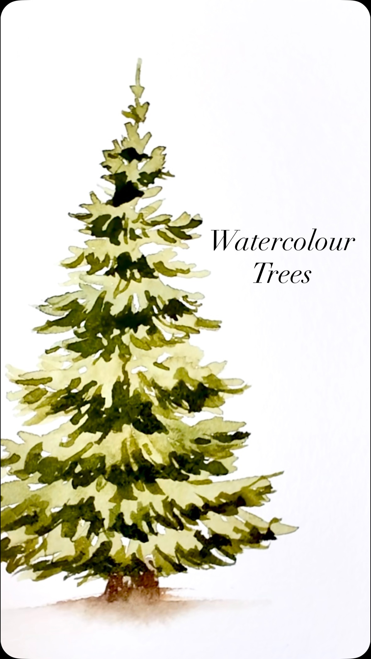 Trees are one of my favourite things to paint! Let me know in the comments what your favourite subjects to paint are!
Brush: size 6 round brush (from my new travel set coming out December 14th @craftamo)
Paint: @shinhanart.official PWC. Colours used, olive green and shadow green.
Paper: @meeden.art hot pressed postcard