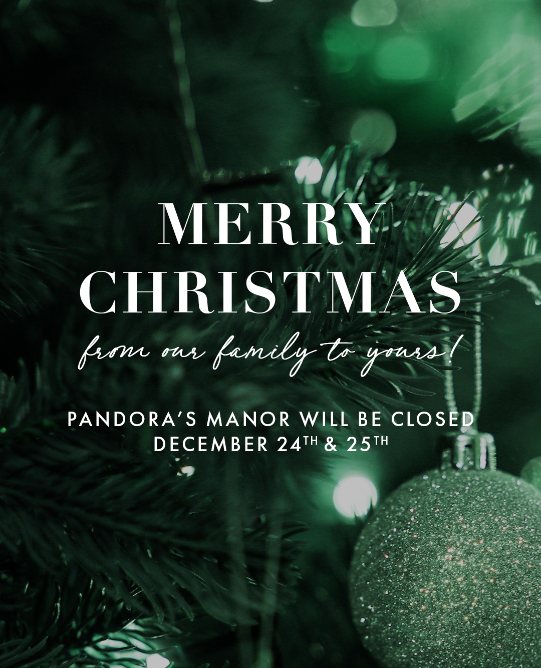 We will be closed December 24th and 25th for the holidays. We will be back on Friday, the 26th. Happy holidays!❄️