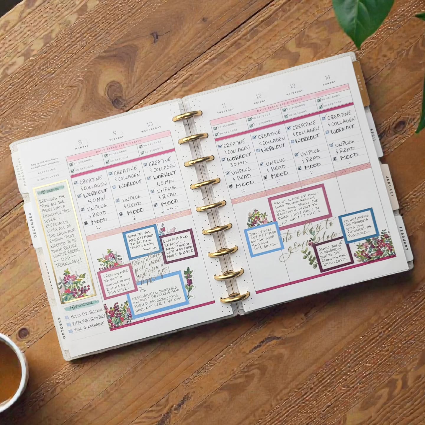 It's okay to grow slow 🐌
.
Like this layout? It's the #stressmangement layout made by @the_happy_planner
.
In need of some box stickers for your planner layouts? Check out my etsy shop... download, print, and cut in a variety of colors!
.
#afterthepen #weeklyspread #plannercommunity #planwithme