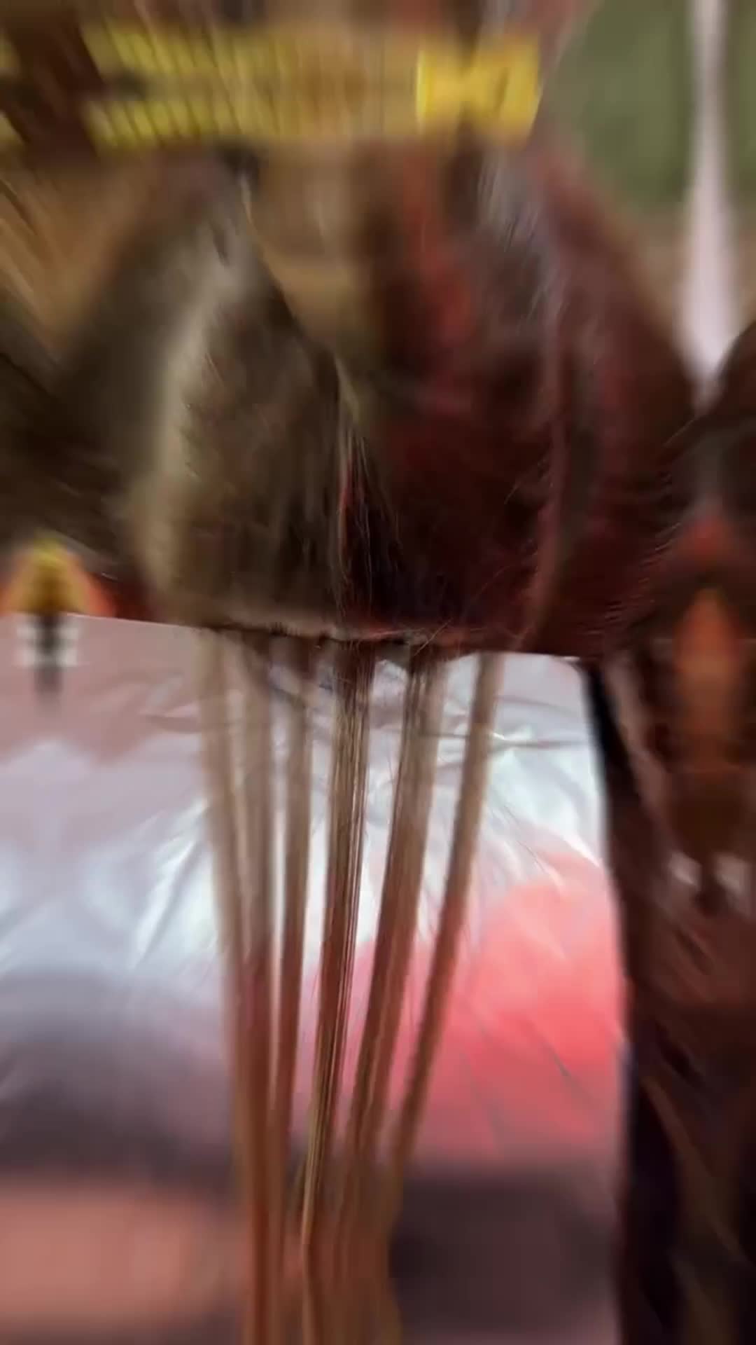 She wanted fuller, cleaner, lighter hair with a face frame… and MR T delivered.
ㅤ
Thinking of booking your next colour? Book with MR T via the link.
ㅤ
ㅤ
ㅤ
ㅤ
ㅤ
•
•
•
•
•
•
🏷️- Melbourne Hair Salon, Richmond Hair Salon, Melbourne Hairstylist, Richmond Hairdresser, Melbourne Curl Cutting Specialist, Freehand Haircut Melbourne, Melbourne Balayage Expert, Richmond Hair Studio, Creative Hair Colour Melbourne, Award Winning Hair Salon Melbourne