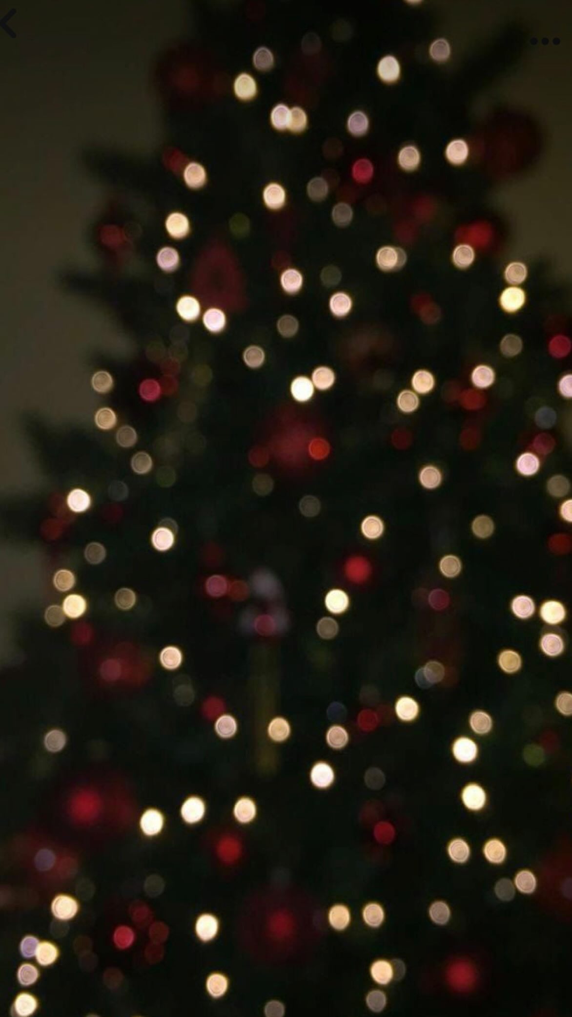 ๐โจ Happy Holidays from Medical & Beauty Care Clinic โจ๐
This season, our team wants to say thank you.
Thank you to our beautiful, amazing clients for trusting us, supporting us, and growing with us this year.
2024 was filled with growth, kindness, and genuine friendships, and weโre grateful for every single visit, conversation, and smile shared in our clinic.
We wish you and your loved ones a joyful holiday season and a healthy, glowing New Year. ๐ค
We canโt wait to continue this journey with you in the year ahead.
With gratitude,
Medical & Beauty Care Clinic Team โจ