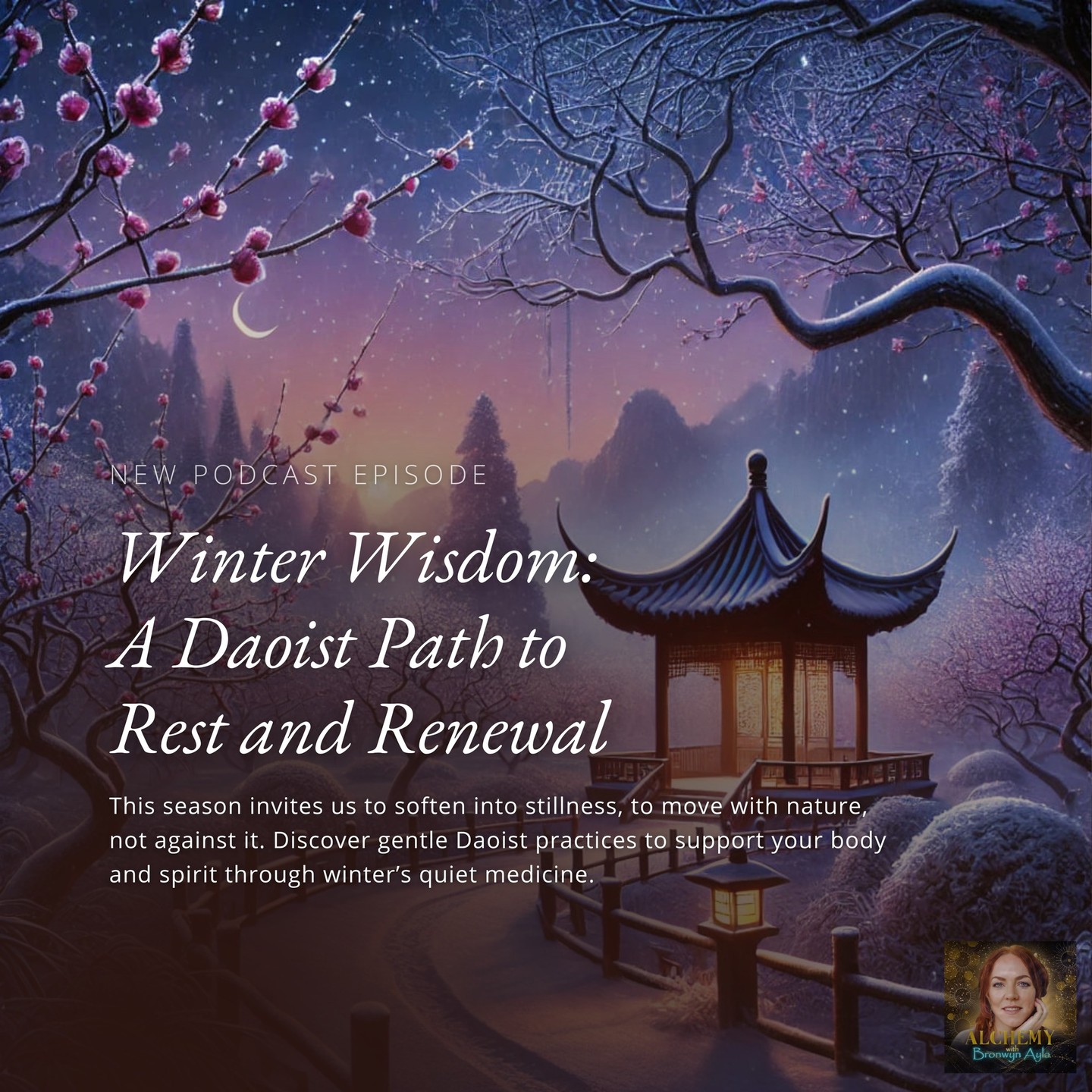 What if your winter dreams are messages your body is trying to deliver?
In today’s new podcast episode, I explore the season through a Daoist lens — as a time for deeper listening, nervous system restoration, and reconnection with your own rhythm.
You’ll hear how warming foods, slow movement, rest, and dreamwork can help bring steadiness, clarity, and resilience in a time that often feels heavy or disconnected.
If you’ve been craving softness, this one’s for you.
🎧 Winter Wisdom: A Daoist Path to Rest and Renewal
Now streaming.
#AlchemyWithBronwyn #WinterHealing #Dreamwork #SeasonalWisdom #RestWithIntention