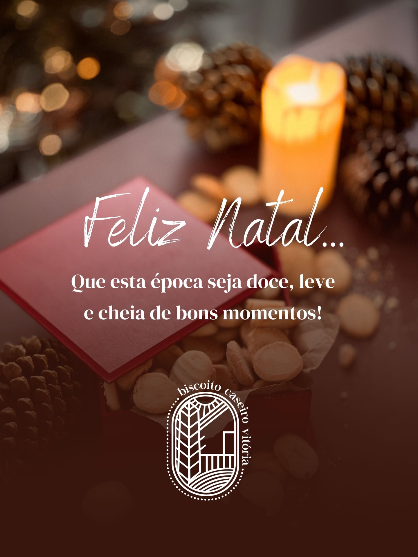 Que esta época seja doce, leve e cheia de bons momentos! A família @biscoitocaseirovitoria deseja a todos os seus clientes e colaboradores um Natal iluminado com muita paz, amor e mesa farta.
Gratidão a cada cliente e colaborador que fez parte da nossa história em 2025. Feliz Natal! 🎄🍪💫
#BiscoitoCaseiroVitória #ArtesanaisEAutênticos #Desde1997 #Natal2025