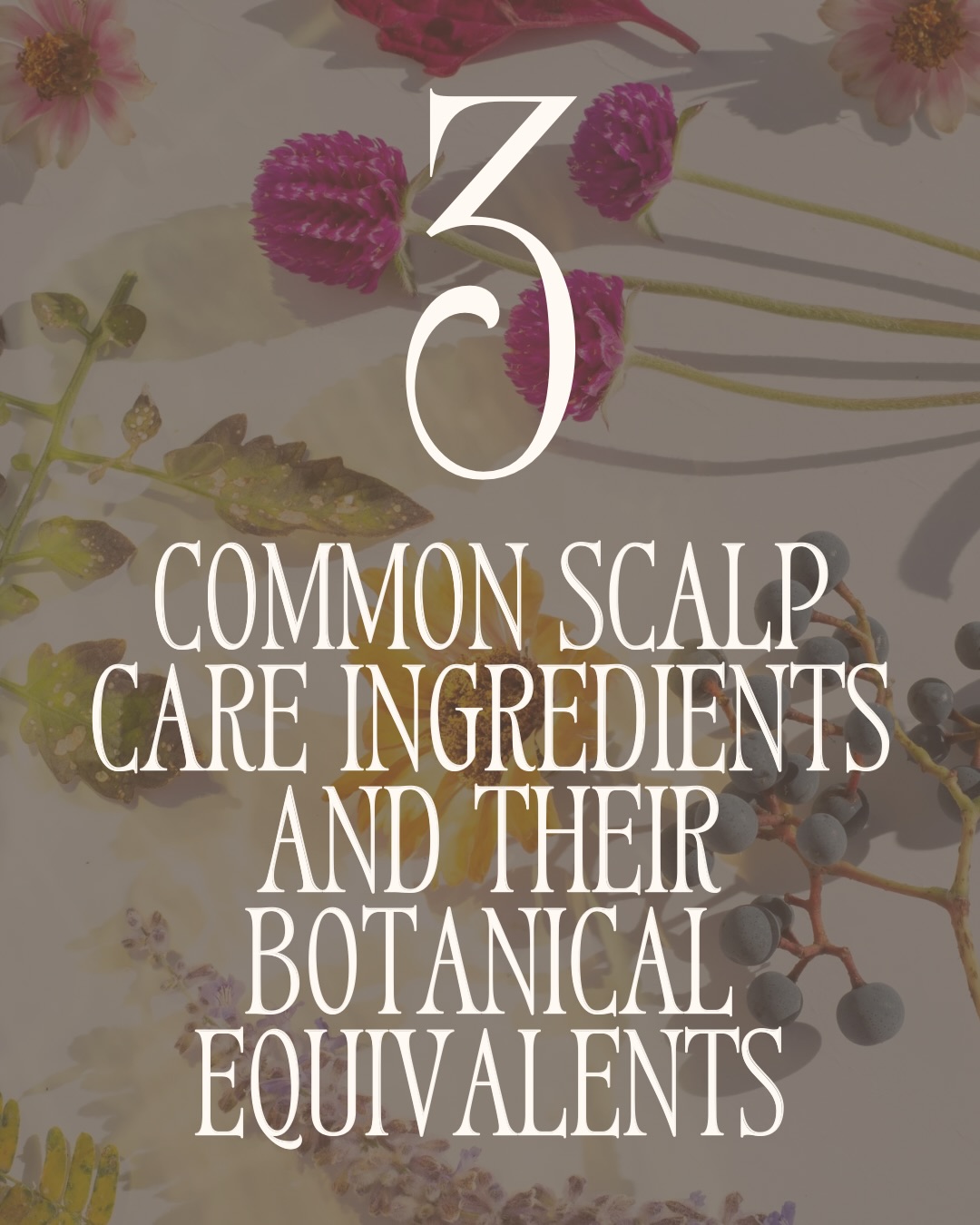 Scalp care doesn’t have to rely on harsh actives. Botanical alternatives can support the scalp in a gentler, more holistic way.
Salicylic acid → Willow bark
Naturally rich in salicylates, willow bark helps exfoliate buildup and reduce inflammation
Dry shampoo → Witch hazel
Witch Hazel helps absorb excess oil and refresh the scalp without starches that can leave behind residue
Minoxidil → Saw palmetto
Saw palmetto blocks DHT which in turn supports strong hair, density, and balances the scalps natural environment for healthy hair growth
Mindful ingredient swaps can make scalp care more sustainable