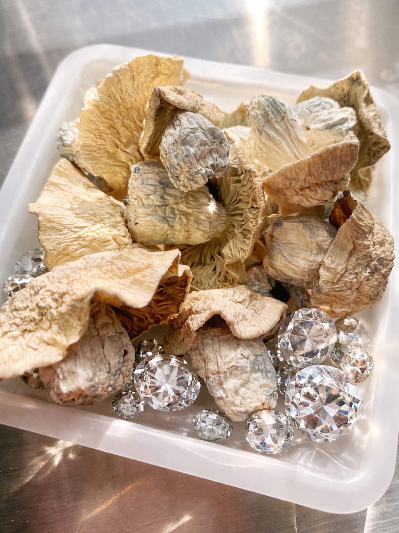 ✨ Shine Bright Like a Diamond ✨
A new year invites reflection, intention, renewal, and growth 🌙
Our mindfully curated mushroom gifts are offered as symbols of presence, care, and conscious connection — gentle reminders to slow down, tune inward, and move forward with intention.
May this year be guided by wisdom, grounded choices, and moments that allow your true light to shine. 💎🍄
#MindfulOfferings
#ShineBright
#NewYearIntentions
#ConsciousLiving
#MindfulMoments