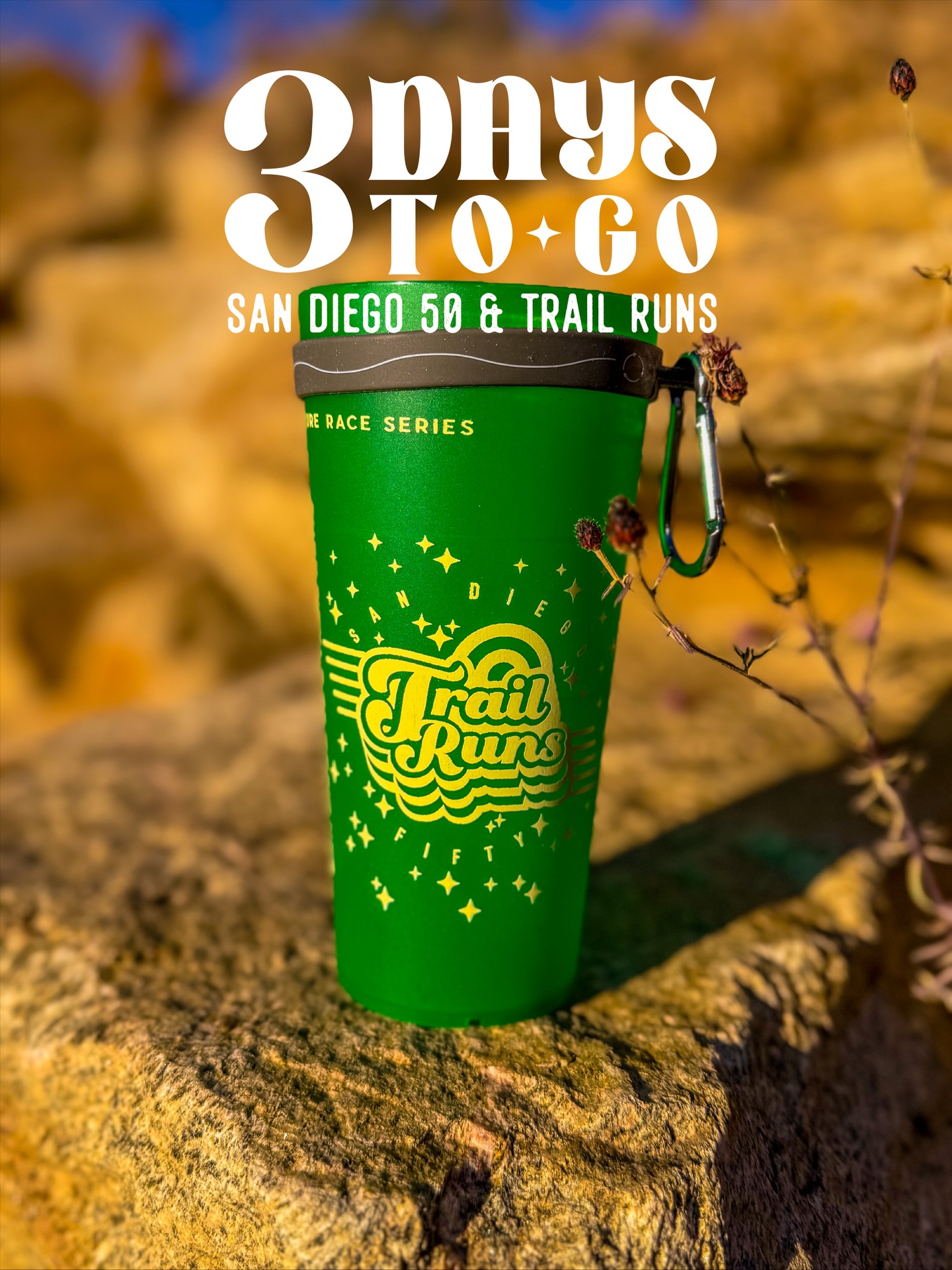 Let’s ROCK it! 3 days to GO. Are you ready? ☀️😎⭐️