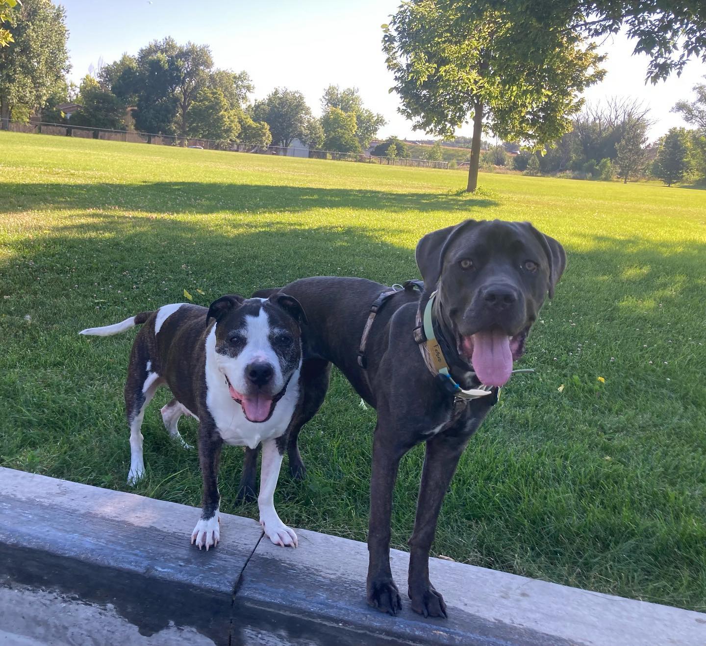 New addition to our family 🌸 💕