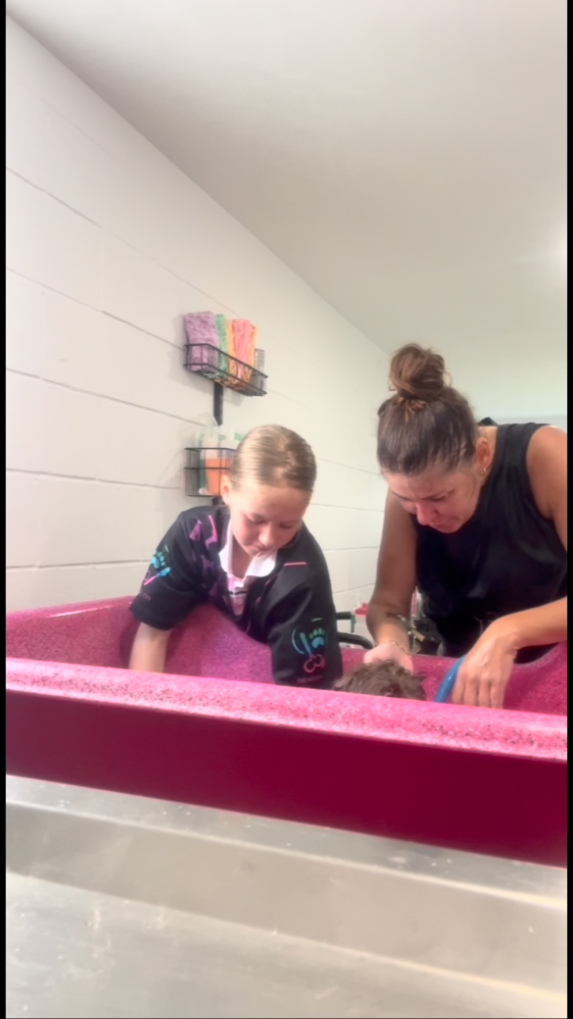 Apprentice of the weekend 🏆🐶
Tiny hands, big heart, serious grooming vibes ✂️🐾
Proud mum moment.