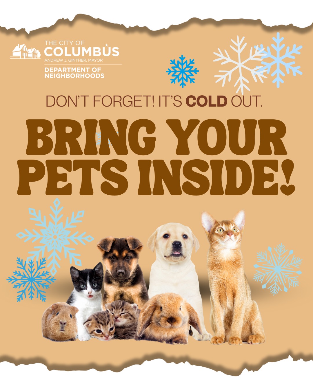 It's going to be very cold outside for a while. A severe snow storm and below freezing temps are coming. Remember to bring in your pets!
#Pets #Inside #Cold #Love