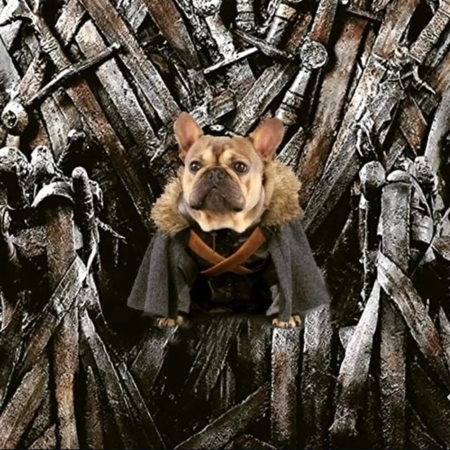 Halloween is coming! 🙃