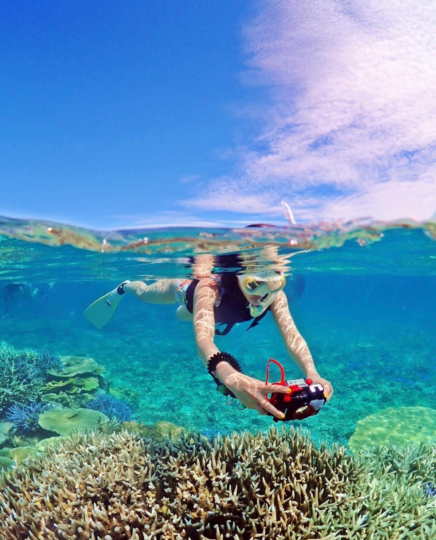 今日は3月5日サンゴの日🪸🩵
いつまでも綺麗な珊瑚礁が残していけますように✨
ぜひ環境に優しいエコプランでのご参加協力お願いいたします☺️
《 世界に誇る日本一の海“ヤビジ”で
一生の思い出に残る体験を🌏🩵》
▼マーリンのオススメポイント
⑴ 安全第一でご案内🛟
厳しい安全基準をクリアした業者だけが認定される
“マル優”に指定されています
ガイドは定期的に安全講習実施中。
⑵ ヤビジまで一番近い港出発⛴️
半日ツアーで旅行のスケジュールが組みやすく
船酔いが心配な方にもオススメです!
⑷初心者・女性にも優しい🥰
女性スタッフも在籍、
各資格を持ったガイドがご案内!
⑸当日のベストポイントへご案内🐢
海を知り尽くした宮古島育ちの船長が
数あるシュノーケルポイントから
その日のベストコンディションへ向かいます!
▼ツアーメニュー
・八重干瀬シュノーケルツアー
・八重干瀬スキンダイビングツアー
・八重干瀬体験ダイビングツアー
・スキンダイバー講習
→ 各ツアーに𝗘𝗖𝗢プラン(割引)あり
▼𝗘𝗖𝗢プラン 〜環境に優しくお得に遊ぼう🧡〜
各ツアーメニューに適応可能
𝟭.ツアー料金¥𝟭,𝟱𝟬𝟬引き
𝟮. 𝗘𝗖𝗢ルールを守っていただける方
※𝗘𝗖𝗢ルールはHPにてご確認ください
▼ ご予約方法
InstagramトップページのリンクからHPへ
※DMは対応しておりません。
▼船長アカウント
こちらでもツアーの様子をリアルタイムで発信中!
🚢:@marlin_nakasato
▼スタッフアカウント
スタッフ目線のツアーの様子やオフを発信中!
👫🏽:@staff_marlin_miyakojima
#ヤビジツアーマーリン
#宮古島 #八重干瀬 #ヤビジ
#宮古島旅行