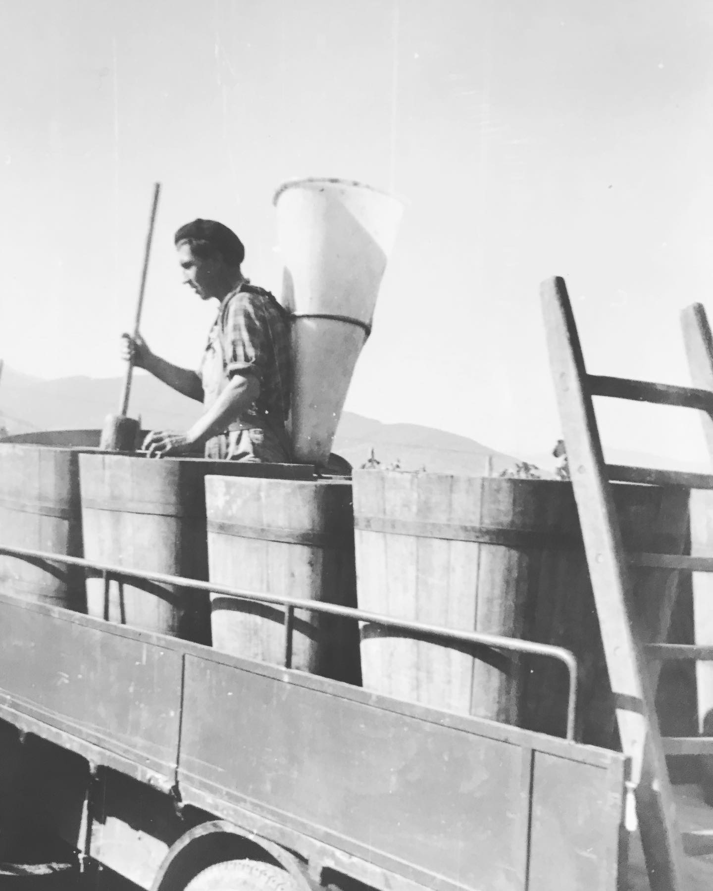 Vendanges 1 9 6 5
•
•
•
•
•#vintage #vendanges #harvest #vigne #vignes #vineyard #winelover #winelovers #alsace #drinkalsace #vin #vindalsace