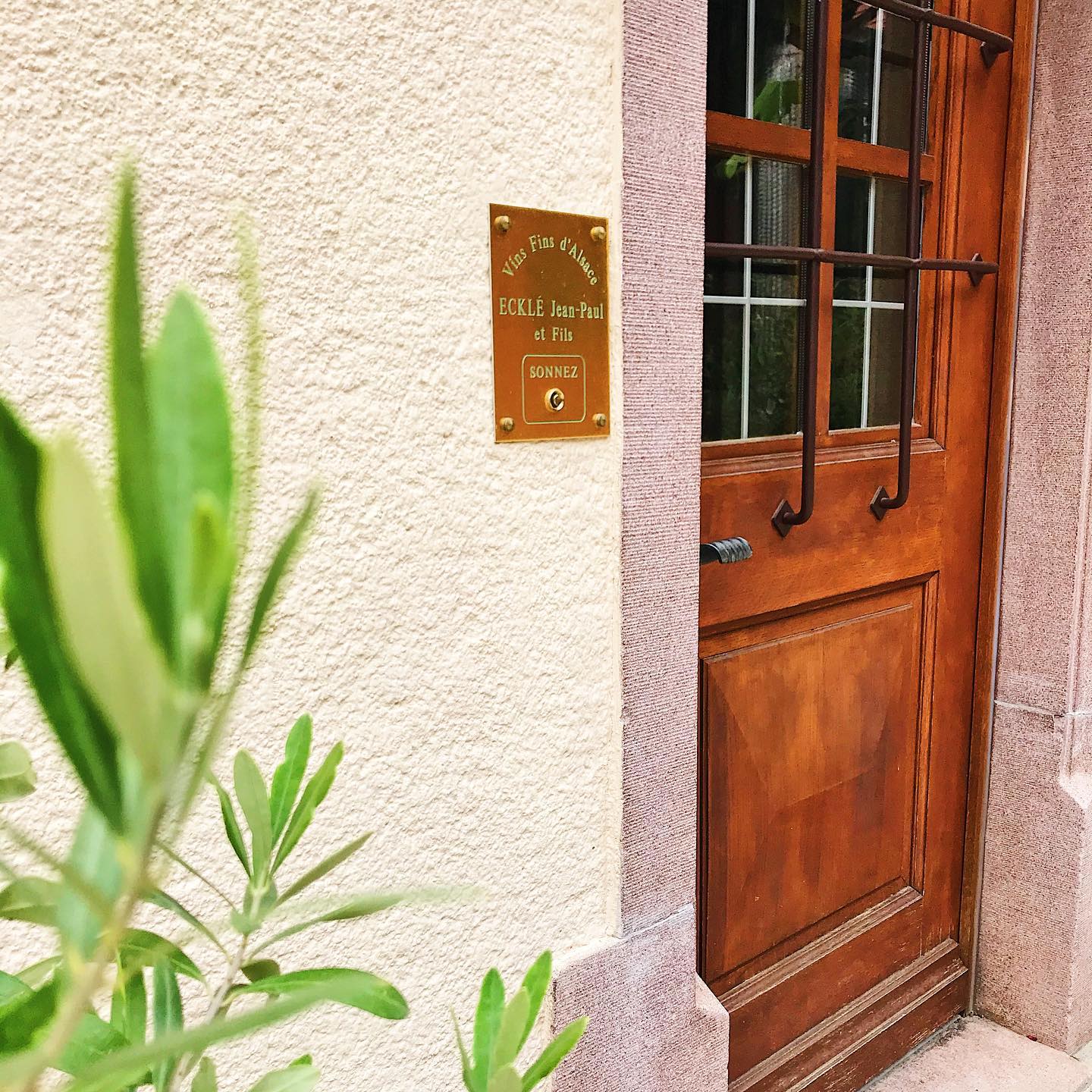 Notre caveau reste ouvert ! 🥂
Toujours dans le respect des gestes barrières - nous vous accueillons du lundi au samedi , de préférence sur rendez-vous 🍷
Préparons les fêtes de fin d’année 🎉
🚗 D R I VE : Possibilité de commander par téléphone ou par mail et de récupérer la commande au domaine
🚚 L I V R A I S O N : Nous livrons dans toute l’Alsace gratuitement à partir de 18 bouteilles
🚛 E X P E D I T I O N : Nous contacter pour plus d’informations
Demandez nous notre liste et prix de nos vins par mail ou rendez-vous sur notre site internet 🍾
☎️ 03 89 27 09 41
✉️ eckle.jean-paul@wanadoo.fr
🌍 www.vinsecklejeanpaul.fr
💓 Merci d’avance pour votre soutien, votre engagement est important pour nous, producteur indépendant . Une pensée également pour les bars et restaurants, les petits producteurs locaux, les soignants ....
Pensez aux commandes groupées pour en faire profiter votre famille, vos amies ou vos collègues
Prenez soin de vous et S‘gelt 🥨