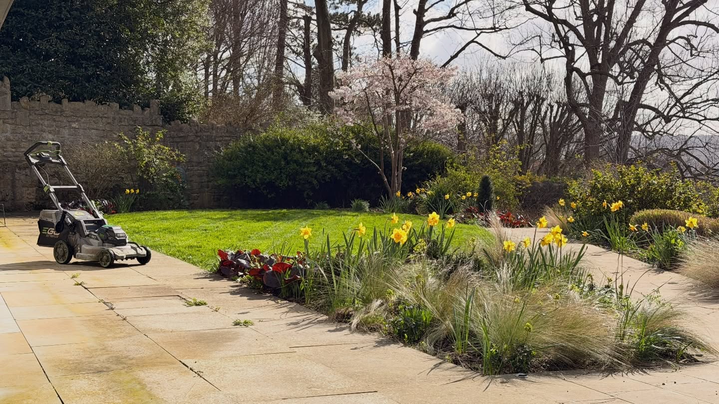 Tuesday trim ✂️🌿
Back attending to our 2-weekly maintenance contracts now that everything is back in full swing for the season. Today’s focus was getting this lawn cut with a high first cut, which is key for helping the grass strengthen and thicken up as we move through the growing season.
Last year we spent a lot of time here overseeding and improving the lawn, so this year the goal is all about maintenance and building on that progress — regular cutting, feeding, weeding and keeping everything in top condition 🌱
All with a fantastic backdrop over Bath, blossom on the trees and daffodils popping up everywhere — hard to beat days like this ☀️🌸
#MJBGroup #GardenMaintenance #TuesdayTrim #LawnCare #BathUK SpringGardening
