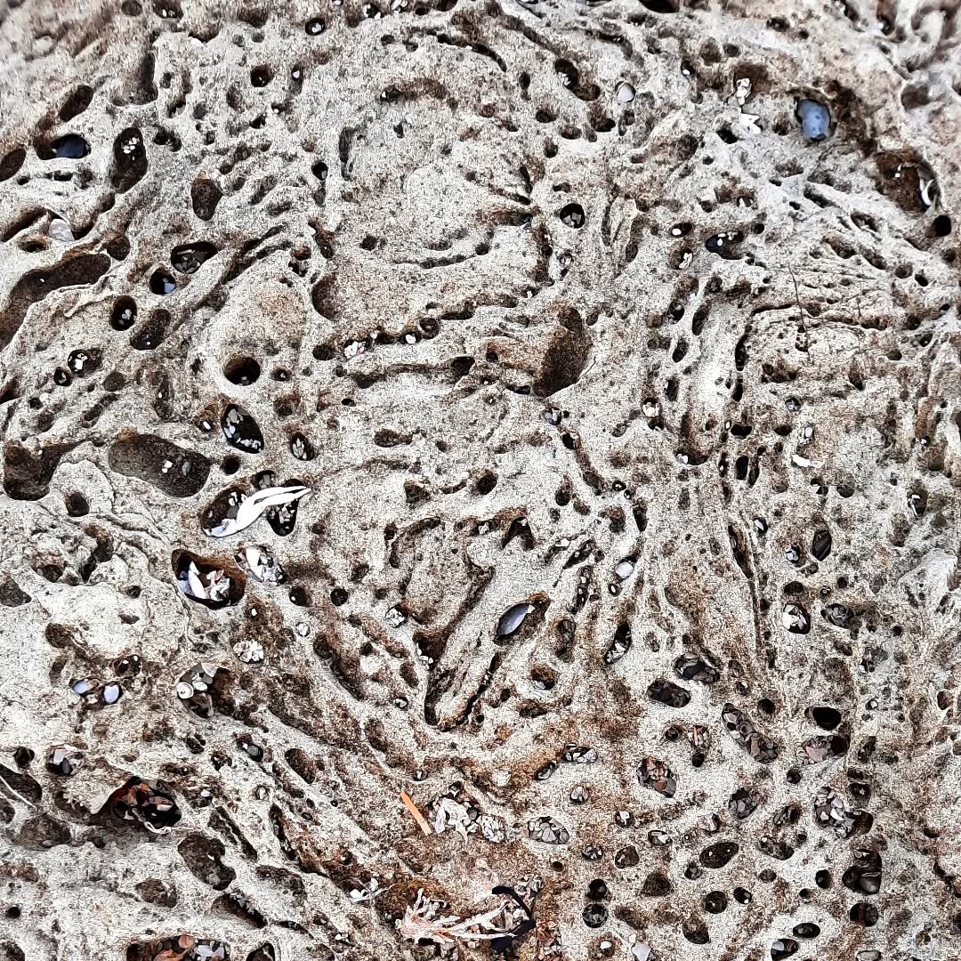 My constant source of inspiration....
#castlehill #castletown #texture #erosion #geology #Caithness #coast #newwork #inspiration #nc500