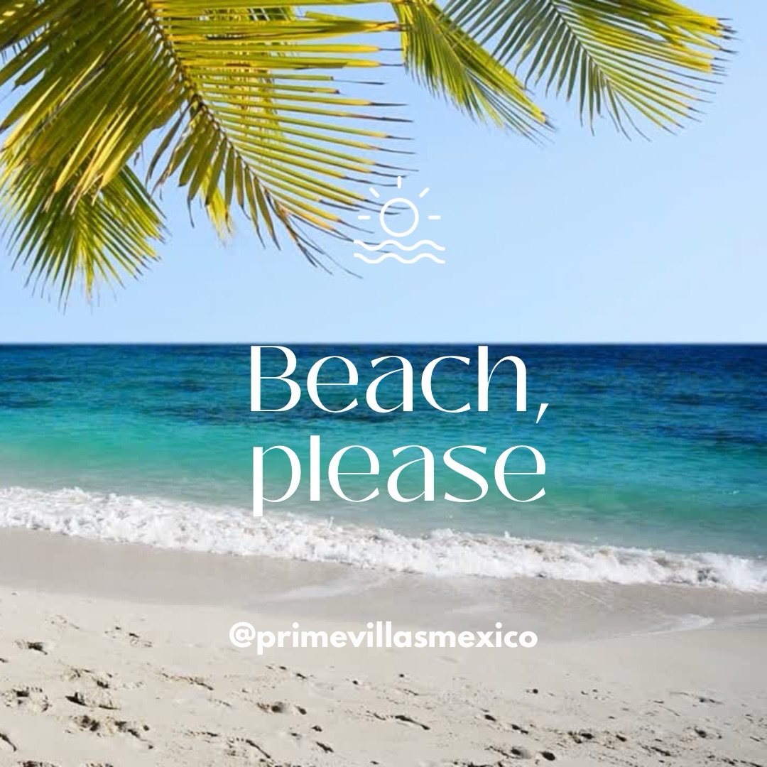 This page is only for those who know what they’re looking for.
.
.
.
.
#PuntaMita #PuertoVallarta