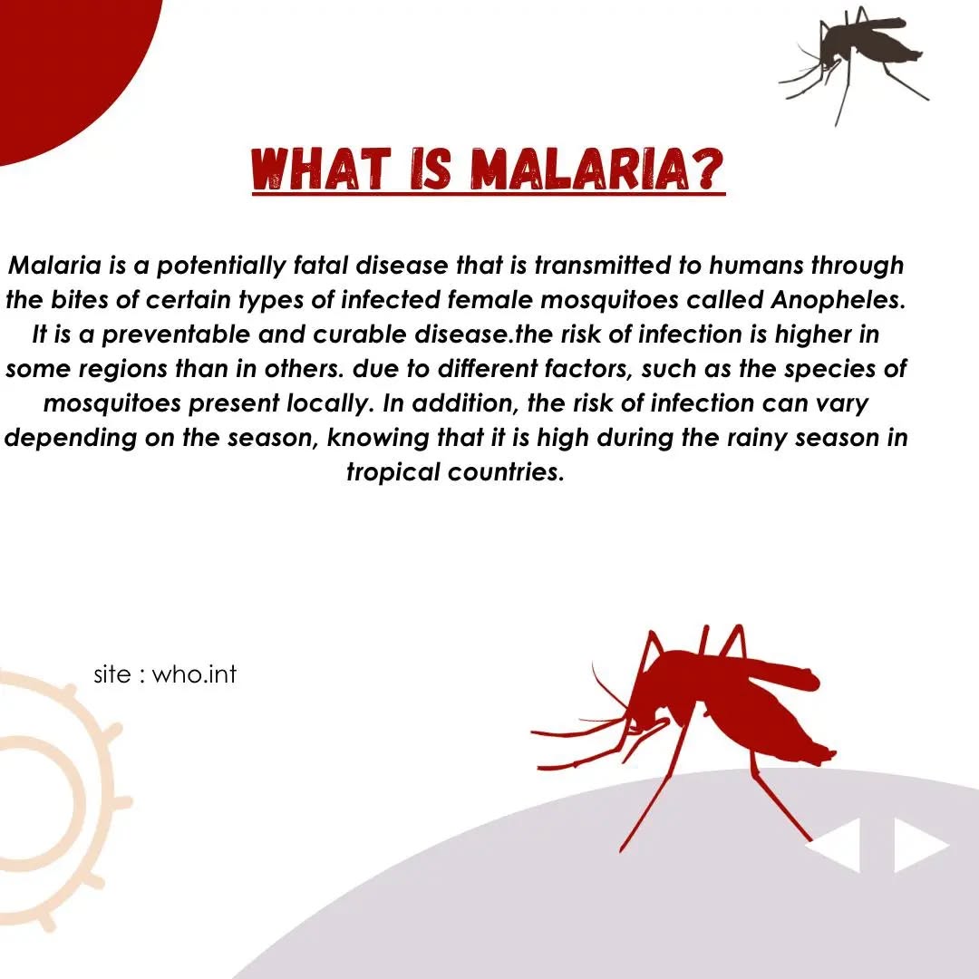 ✅ April 25th 2024 ➡️ World Malaria Day
✨The celebration of this year is under the theme : "Accelerating the fight against malaria for a more equitable world ".
It’s an opportunity to highlight the need for continued investment and commitment to a sustainable policy in favor of malaria prevention and control .
The WHO recommends strategies to prevent malaria transmission through public awareness campaigns.
This is an opportunity for us to become aware of the dangers of this disease, and to join forces to fight it.
#WORLDMALARIADAY
#journeemondialecontrelepaludisme