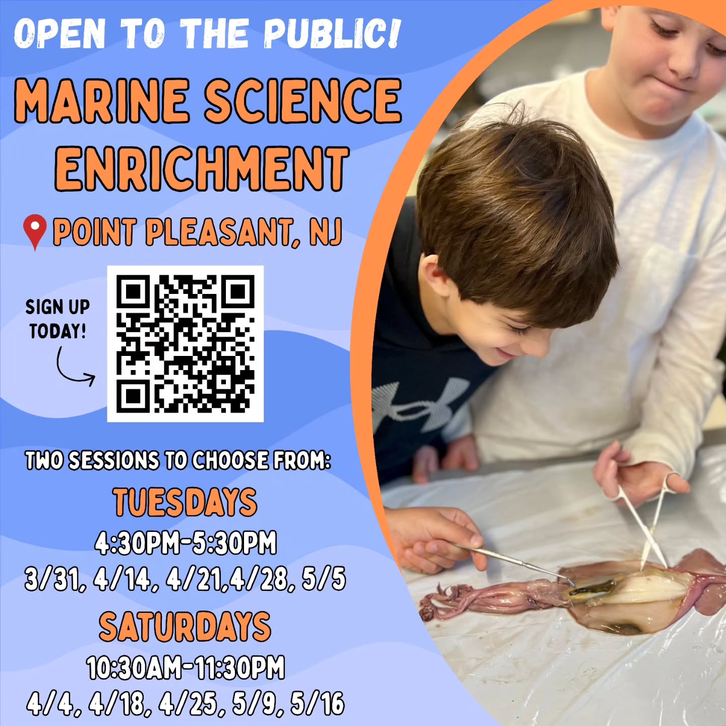 Join us at Point Boro High School for hands-on marine science fun with real marine creatures, artifacts, and experiments — all led by a marine scientist. 🦀🐟
Tuesday and Saturday sessions are available. Both are six week series!
Spots are limited!
More Details Here! 👉 https://ptboro.com/recreation/
.
.
#oceancounty #stemeducation #newjersey #pointpleasasntboronj #marinesciencecamp