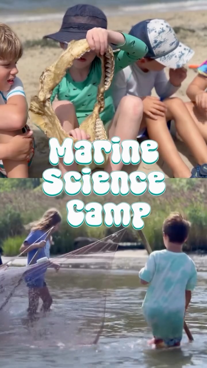 🌊 Registration is OPEN for Marine Science Camp! 🦈
Give your child a summer they’ll never stop talking about. Kids ages 5–14 dive into hands-on ocean exploration with crabbing, seining, real marine experiments, and dissections that bring marine science to life. 🦀🐠🔬
📅 Now enrolling across Maine, Rhode Island, New Hampshire, Massachusetts, New Jersey, Delaware, and Maryland — discover our unique coastal locations and find the perfect week for your young scientist at www.marinesciencecamp.com.
Share this reel to help other families discover us — we can’t wait to make waves with you this summer! 🌟
.
.
.
.
. 🎵 “Kids” - MGMT
#summercamp2026 #marinescience #stemeducation #jerseyshore #eastcoastsummer
