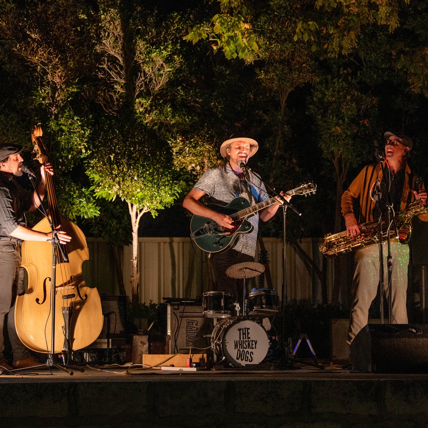 ๐๐๐ฒ ๐๐๐ญ๐ฌ ๐๐ง๐ ๐ค๐ข๐ญ๐ญ๐๐ง๐ฌโฆ ๐ฐ๐ก๐๐ญ ๐ ๐ง๐ข๐ ๐ก๐ญ.
The Whiskey Dogs brought the rhythm, the twang and a whole lotta good times to the Busselton Fringe Festival.
From toe-tappinโ tunes to a crowd that just couldnโt sit still, it was a Sunday session done right.
Cool tunes. Warm vibes. Fringe magic.
๐ธ Abby Murray Photography