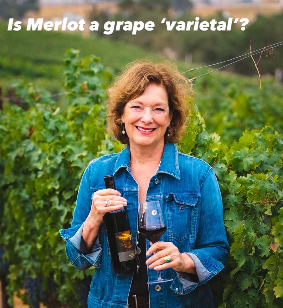 Is Merlot a grape ‘varietal’? One of my pet peeves….the answer (hint: nope!), and more, on debunking uncommon wine myths is in my latest article @pasoroblesnews (link in bio) – want to learn more? Sign up for my WSET Level One or Two Award in Wines classes, starting April 26th at the fabulous @wines.on.main in Templeton. Go to melaniewebberwine.com to register #winesonmain #pasowine #melaniewebberwine
