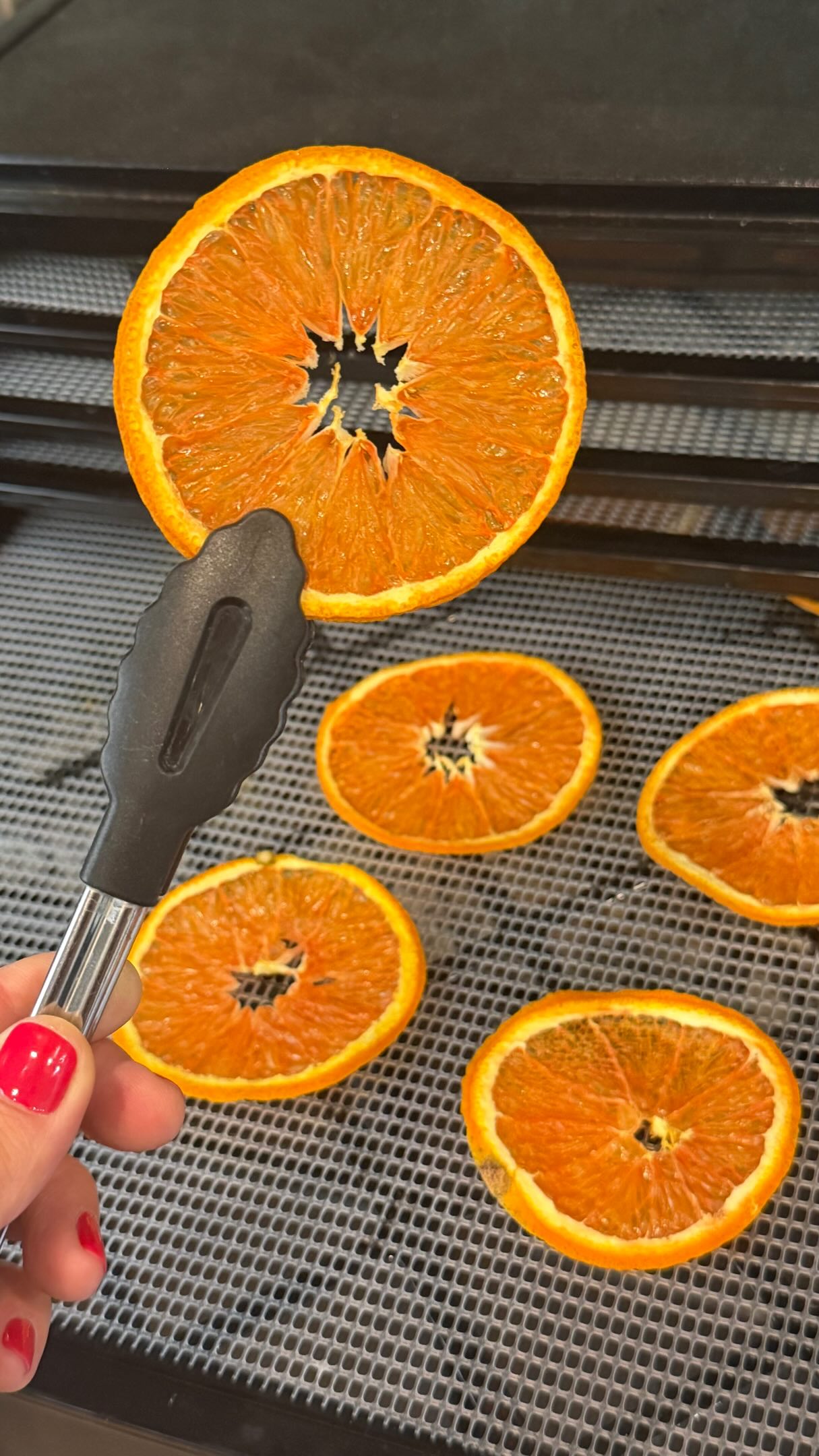 I love dehydrating oranges, lemons, and limes for herbal mocktails, tea cocktails, and cozy drink rituals 🍊✨
Slice them thinly and place in a dehydrator at 135°F, let them dry slowly until crisp. Your kitchen smells incredible while they’re drying, and they turn into the prettiest little decorations for cocktails, mocktails, tea bars, or even your table setting.
I use dehydrated citrus all the time for workshops because they instantly make drinks feel more special 🌿
Try adding them to:
☕ tea cocktails
🍸 herbal mocktails
✨ sparkling drinks
🫖 iced teas
🍊 charcuterie & drink boards
Beautiful, fragrant, and such an easy way to elevate your drinks at home.
#dehydratedcitrus #mocktailidea #teacocktails #herbalmocktails #drinkgarnish