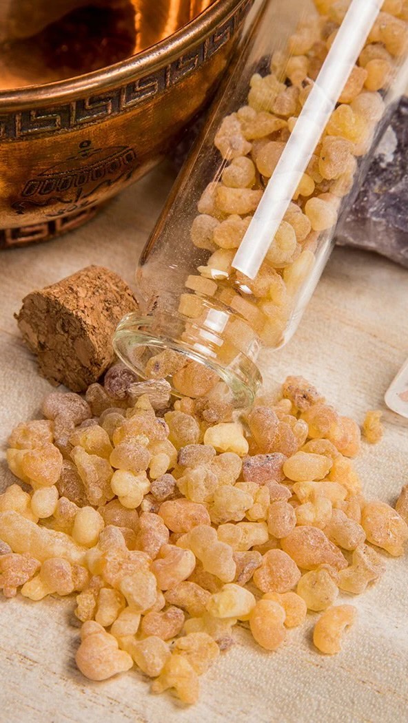 Offering of frankincense is very good for the High Celestial Beings, Our Teachers and Ancestors.
- Put it on the coil, connect to your heart, and imagine yourself sending out the offering of love and gratitude from your heart, blessings, and the offering of frankincense ✨
Very powerful!
#offerings #frankincense #blueridgemountains #retreatcenter