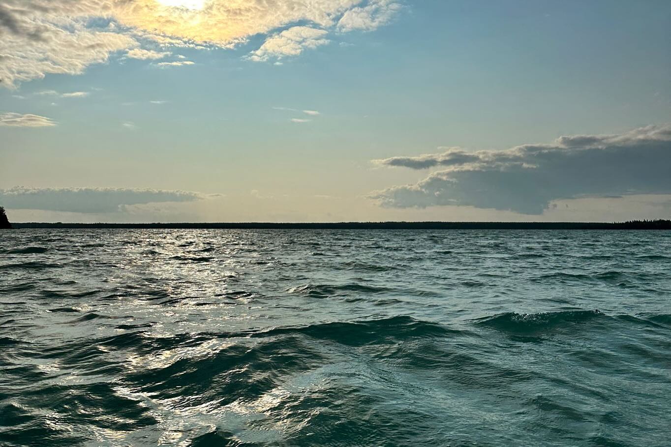 It might be August, but summer is far from over and there are many opportunities still to get on the water to get your nature and paddling fix! Willow Creek tours will be running on August 5th, 14th, 16th, 19th, and 23rd. The Perseid Meteor Shower kayak tour still has room on August 14. There is one spot left on the Pinawa Dam kayak tour on August 15. There are a few spots left on the August 22nd Matheson Island kayak tour. Three spots are left on the August 30 Yoga kayak tour, and a few spots left on the September 11-13 Little Limestone Lake multi day tour. And there is still room on the Lone Island Lake tour on September 19th. All tours can be booked on the PSKA website. See you on the water!