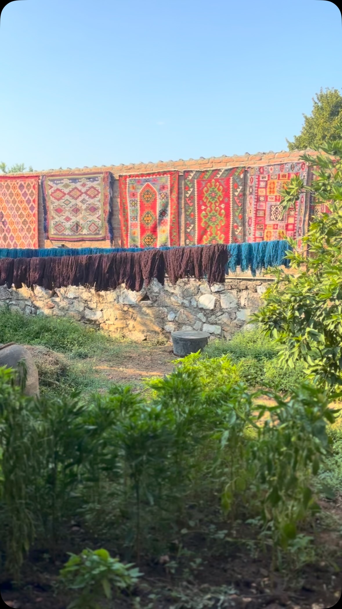 Duvardaki kilimler göz kırpıyor. ✨ Siz de hikayelerine kulak vermeye hazır mısınız?
The rugs on the wall are winking at you. ✨ Are you ready to discover their stories?