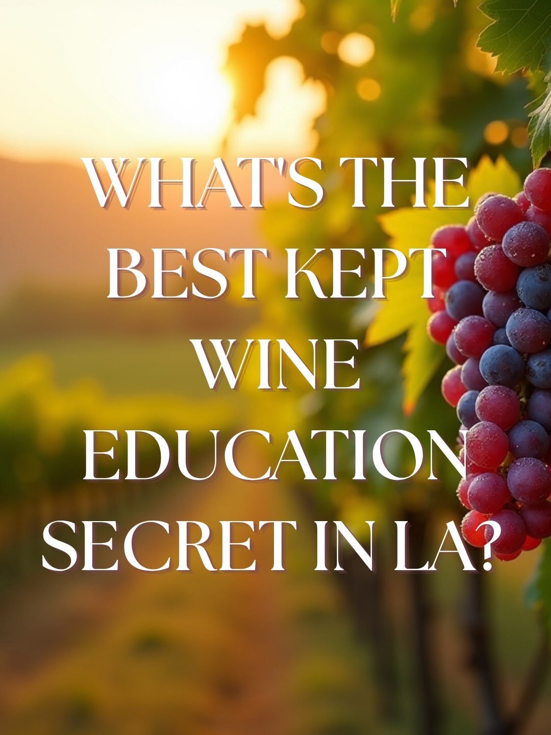 What’s one of the best-kept secrets in wine education in Los Angeles County? 🍷
The Wine Studies program at College of the Canyons in Santa Clarita — and I’m excited to be teaching an 8-week class exploring the Wines of California!
Whether you simply want to learn more about wine or you’re considering a career in the industry, this class is a great way to deepen your knowledge while tasting your way through California wine country.
Over eight weeks, we’ll travel from north to south, exploring the regions, grapes, styles, and stories that make California one of the world’s great wine destinations — and we’ll taste more than 30 wines along the way. 🍇🥂
Curious about wine? Ready to take your knowledge to the next level? Come join me!
Check out the class — plus more offerings in the Wine Studies and Culinary Arts programs at College of the Canyons — LINK IN BIO
@collegeofthecanyons #wine #wineeducation #californiawines #winestudies #losangeles